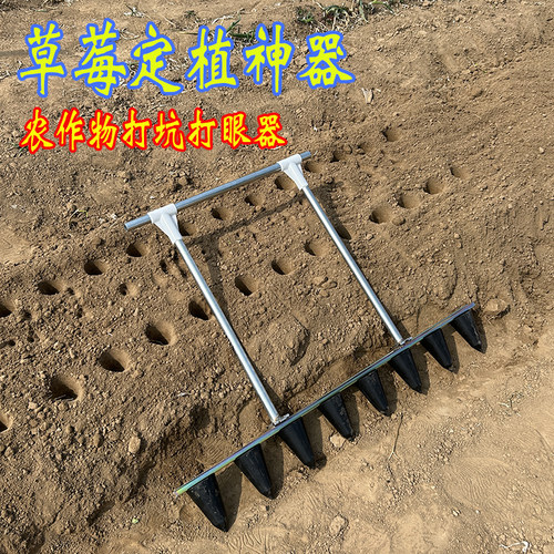 农用种植草莓打窝打坑打孔神器大棚种植移栽工具定植种花生打洞器