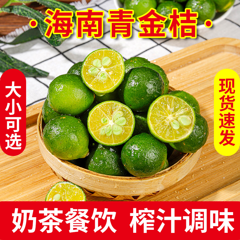 海南青金桔小金桔新鲜包邮小柠檬