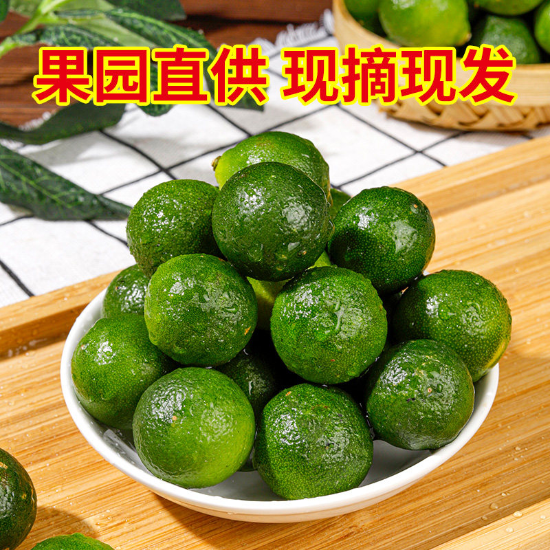 海南青金桔越南小金桔新鲜小青桔小青柠金橘包邮现摘奶茶店专用