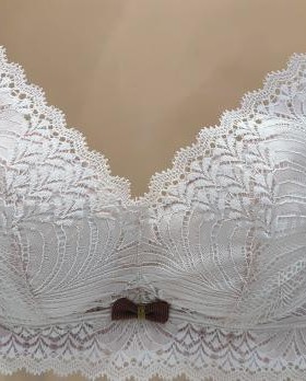 水晶伴侣内衣8327B杯中厚内衣整件无骨内衣无磁聚拢收副乳文胸