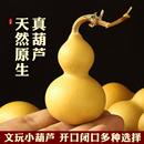 小天然葫芦摆件开口空心闭口干真木葫芦胖墩带龙头手把件大号批发