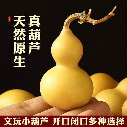 天然葫芦开口闭口带龙头胖墩大号