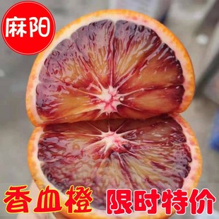 正宗湖南怀化麻阳血橙新鲜水果当季塔罗科红肉橙子玫瑰香血橙