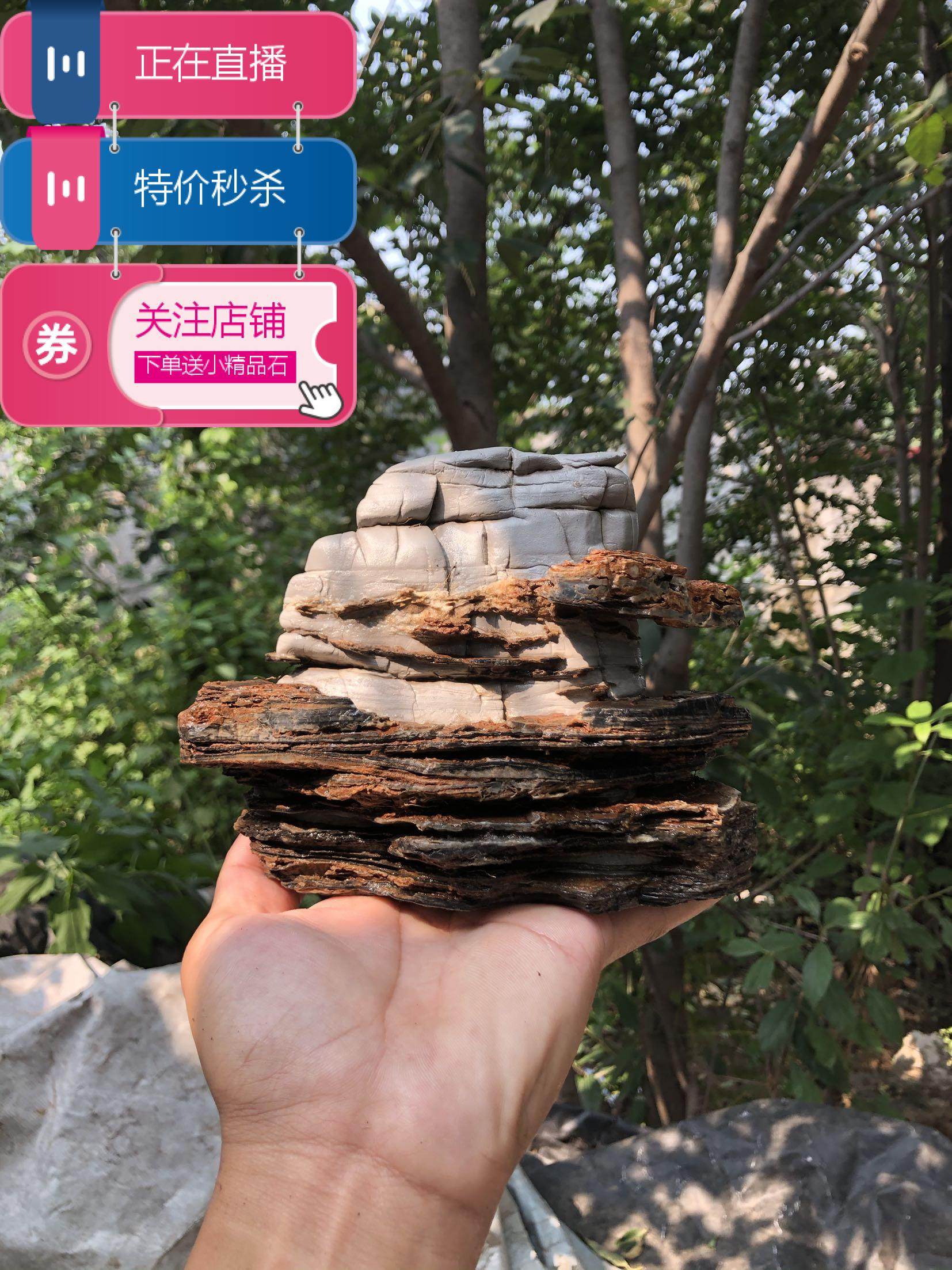 太行奇石盆景石鱼缸石流水石景观石千层石书桌茶台办公室玄关摆件