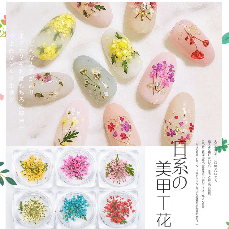 2022新款日式美甲干花饰品包邮真花指甲装饰日本立体小雏菊干花