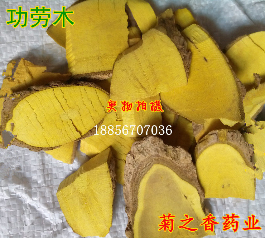 中药材功劳木十大功劳土黄莲茨黄莲枸骨根 土黄柏 500克