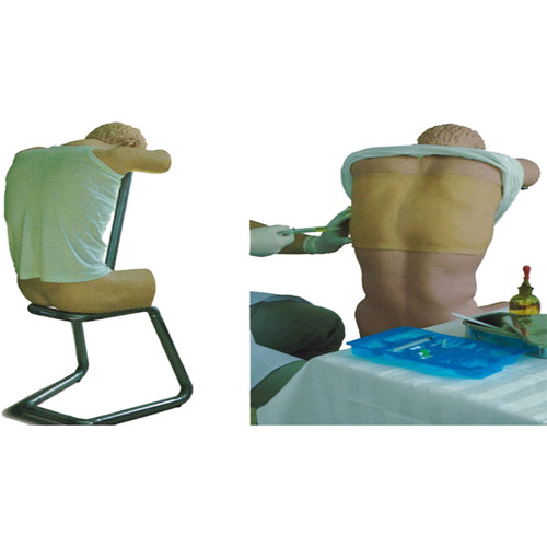 佳悦科教通穿刺训练模型CK820