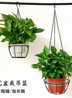 简约铁艺吊篮垂吊花盆挂架绿萝盆栽挂篮悬挂式阳台花架绿植架子