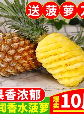 广东徐闻菠萝10斤装香水大菠萝新鲜当季现摘水果非泰国小凤梨