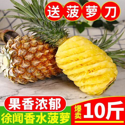 广东徐闻菠萝10斤装香水大菠萝新鲜当季现摘水果非泰国小凤梨