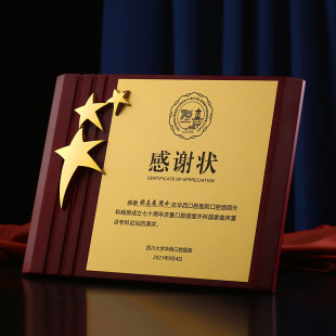 木质奖牌授权牌聘请聘书水晶荣誉牌匾证书加盟经销商奖牌纪念