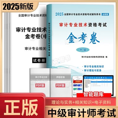 新版2025中级审计师金考卷