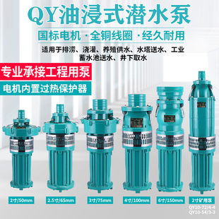 【奥冠迪】鱼塘抽水泵油侵式潜水喷泉专用河水鱼池大功率喷射浇灌