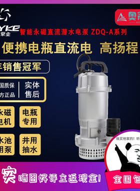 【奥冠迪】飞克智能永磁直流潜水电泵ZDQ-A水泵48V60V72V伏电瓶车