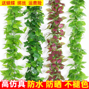 仿真绿萝叶假花装 饰藤条藤蔓植物树叶绿叶遮挡空调水管道塑料叶子