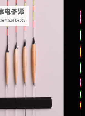 DZ06硬尾LED排灯夜光漂野钓高灵敏带壳芦苇40公分高亮鲫鱼电子漂