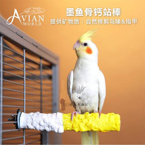 鹦鹉墨鱼骨钙站棒站棍AVAIN