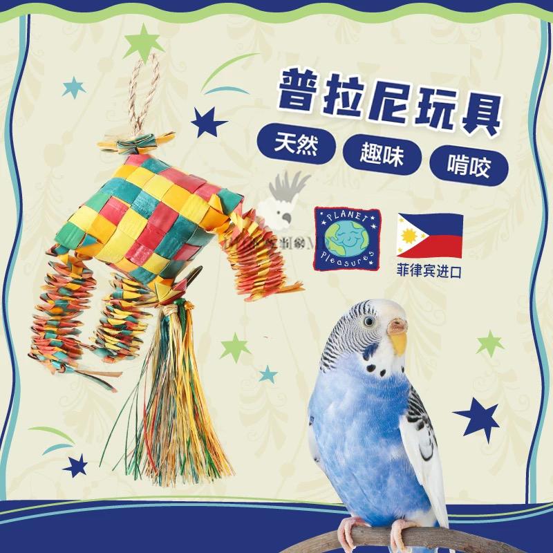 天然普拉尼棕榈叶鹦鹉玩具