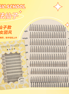 魔法学院魔法仙子C806朵毛假睫毛韩国女团单根进口磨尖