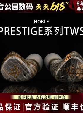 Noble/诺岱Fokus Prestige降噪真无线蓝牙入耳式耳机TWS