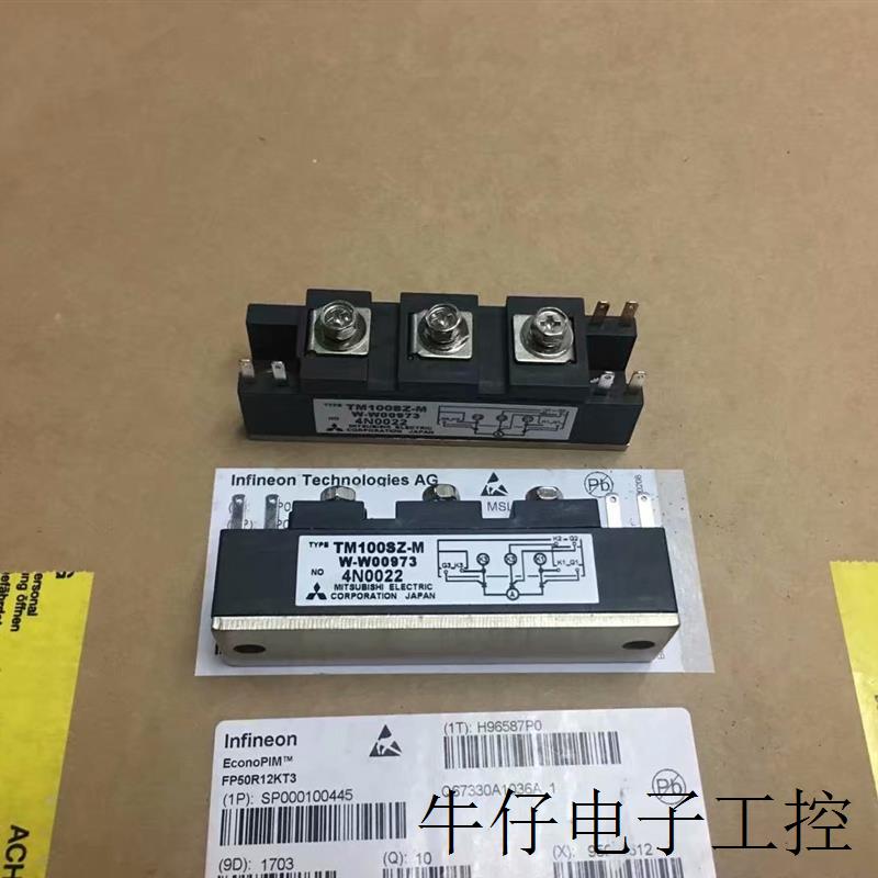 TM100SZ-M PWB100A30 PWB130A40原装现货模块