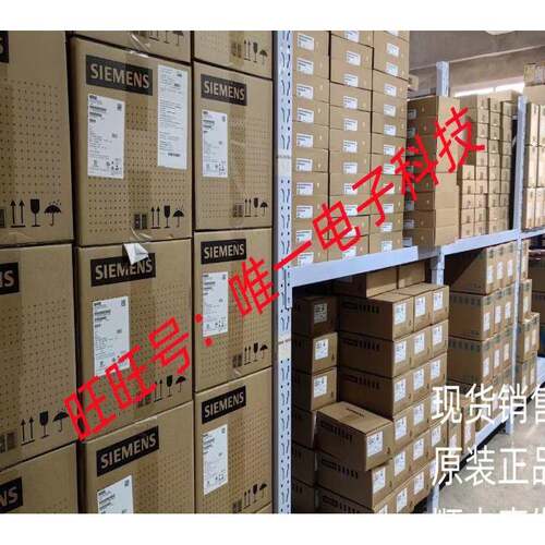 供应 意大利进口电机 Minimotor RAE260M2T议价