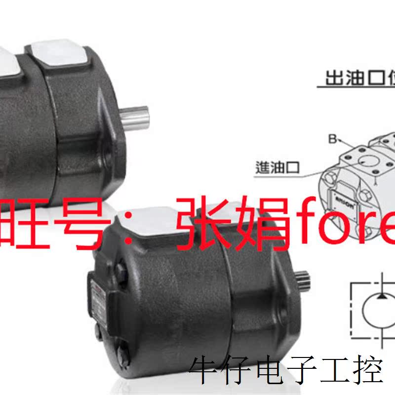 《原厂授权 》全新原装 台湾ANSON TPF-VL401-G00-10