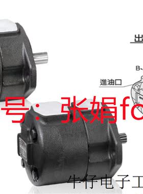 《原厂授权 》全新原装 台湾ANSON TPF-VL401-G00-10