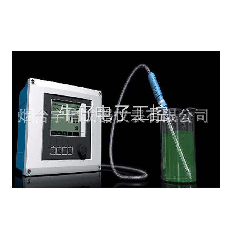 CPM253-MR0005PH/ORP显示变送器德国E+H在线PH计山东烟台宇信现货