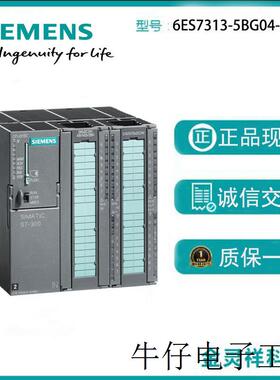 S7-300,CPU 313C, 24 DE/16 DA,4AE,2AA,1 Pt100