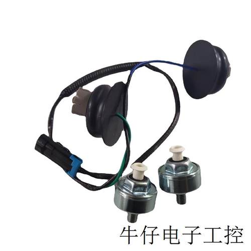 爆震传感器 汽车爆震传感器 12601822 10456603 12589867