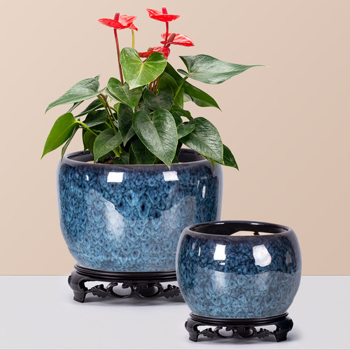 陶瓷花盆简约加厚蝴蝶兰陶盆