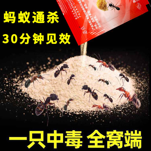 灭杀一切蚂蚁展播品牌