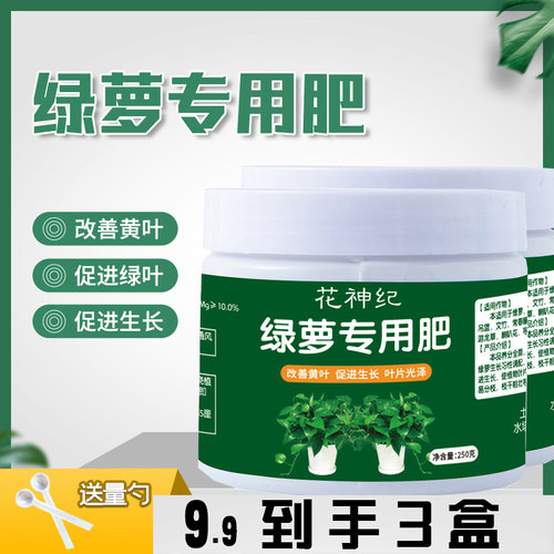 绿萝有机肥改善黄叶烂叶促进生长