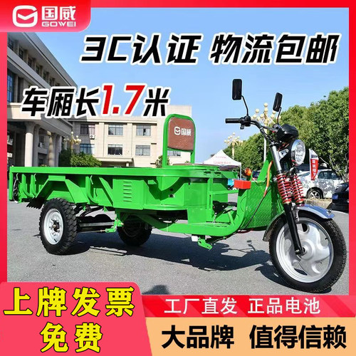 国威电动三轮车拉货货车载重王成人家用快递车农用三蹦子厂家直销