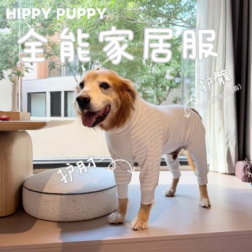 （八月末发）全能家居服护肘护髋四脚衣纯棉狗狗大型犬保护关节