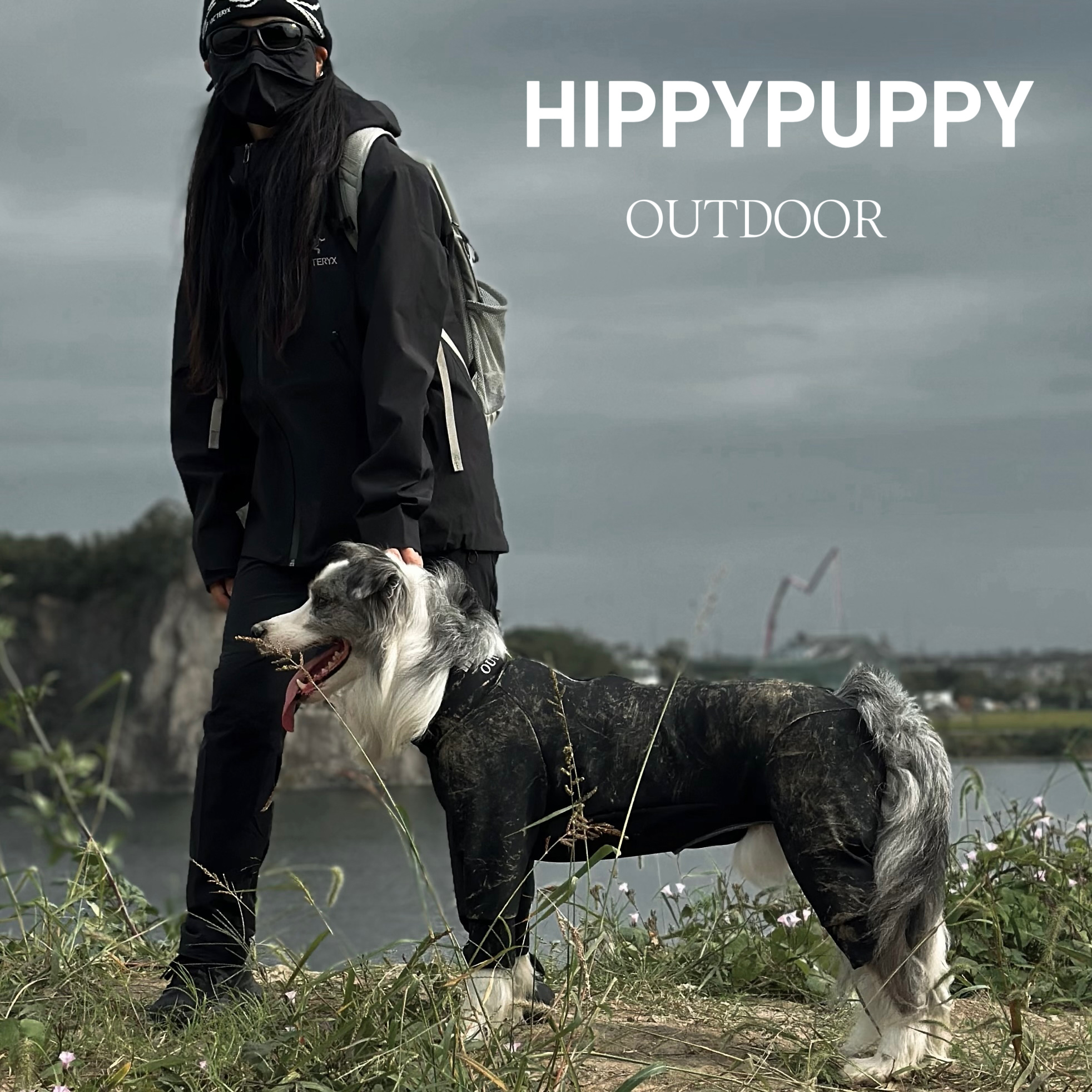 HippyPuppy三合一防水防风防尘户外四脚衣冲锋衣滑雪宠物秋冬狗狗