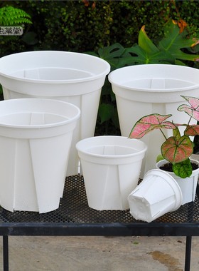 青山控根盆小虫草堂塑料花盆大号型植物家用绿植白色透气加厚花盘