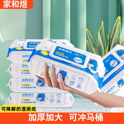 家和煜湿厕纸80抽独立包装加厚擦屁股湿巾家庭厕纸成人私处湿纸巾