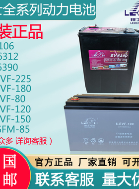 理士动力全系列EVF系列 DT106观光车 3-EVF-225 EV6312 6-GFM-125