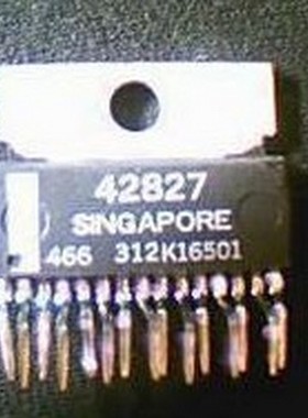 42827 德尔福MT20红白插汽车发动机电脑ECU 怠速控制模块驱动芯片