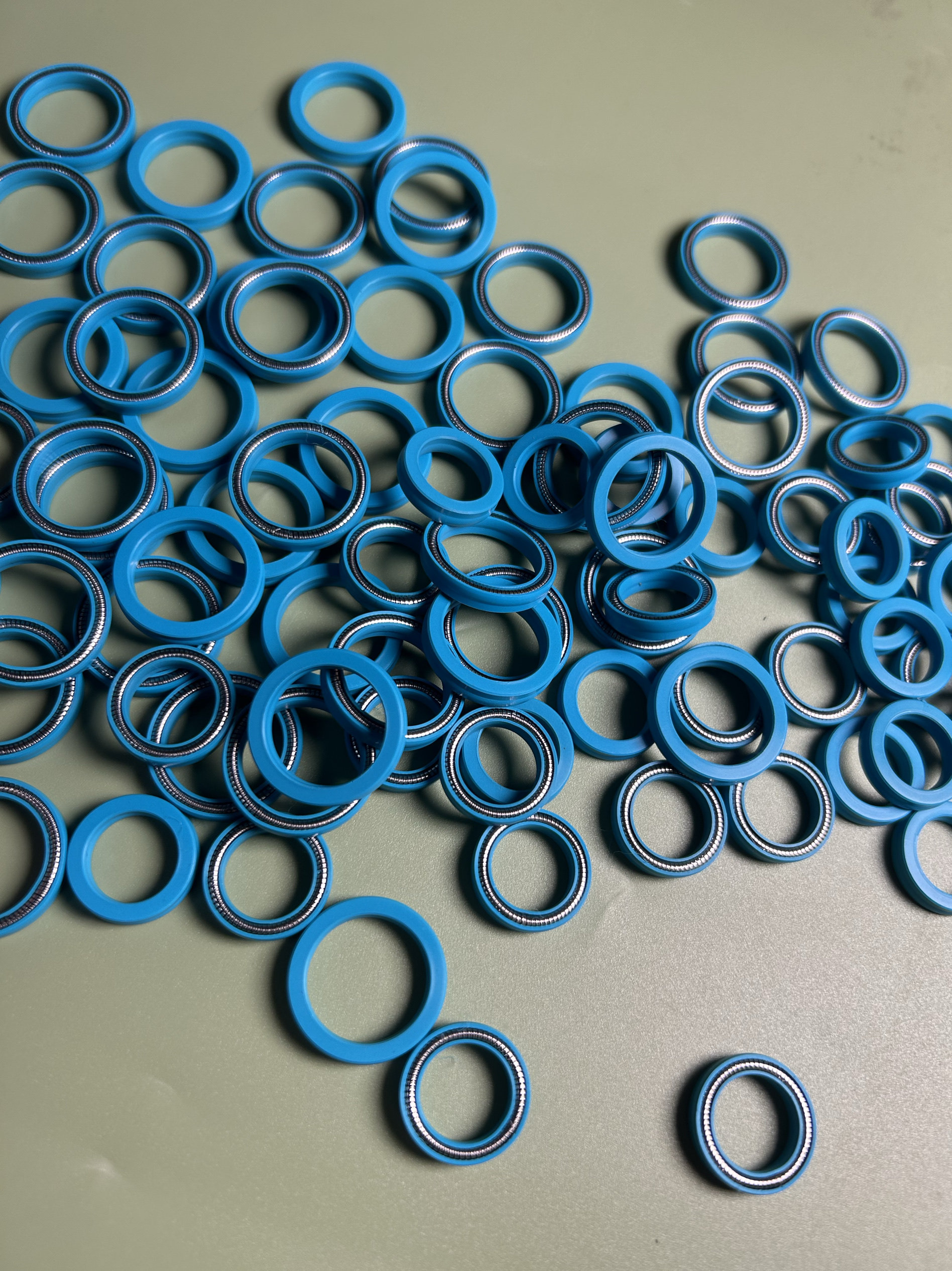 进口快速溶剂萃取仪密封圈/底部053670/顶部053669泛塞封密封圈