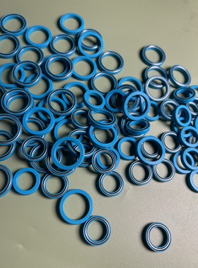 进口快速溶剂萃取仪密封圈/底部053670/顶部053669泛塞封密封圈