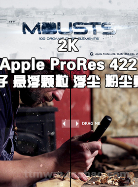 mDust  高清 2K Apple ProRes 422 粒子 悬浮颗粒 浮尘 粉尘 素材