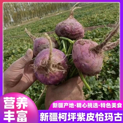 新疆恰玛古柯坪县有机紫皮恰玛古