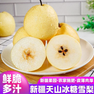 新疆天山雪梨新鲜水果正宗库尔勒梨子冰糖雪梨细腻香酥脆甜多汁