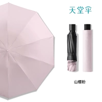 Порошок Sakura ★ Винил ★ Двойной назначение ★ (10 костей увеличены)