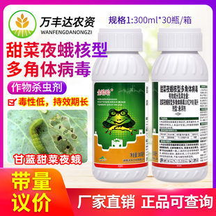 甜菜夜蛾核型多角体病毒蔬菜甘蓝甜菜夜蛾专用药金哈哈农药杀虫剂