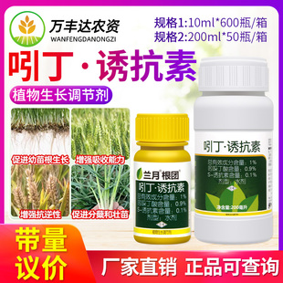 兰月根团 1%吲哚丁酸诱抗素小麦抗逆壮根分蘖壮苗植物生长调节剂