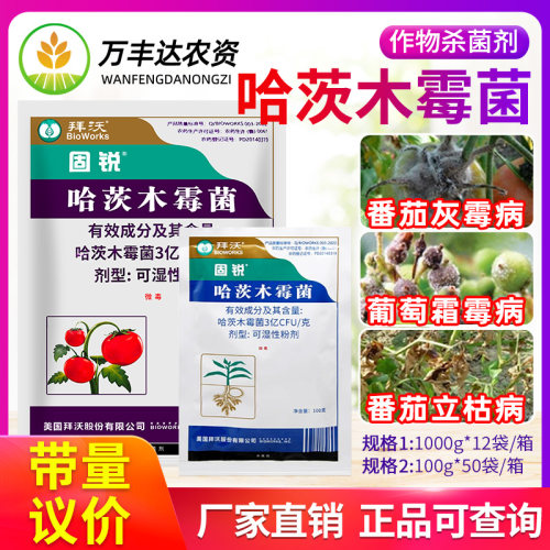 美国拜沃哈茨木霉菌根部